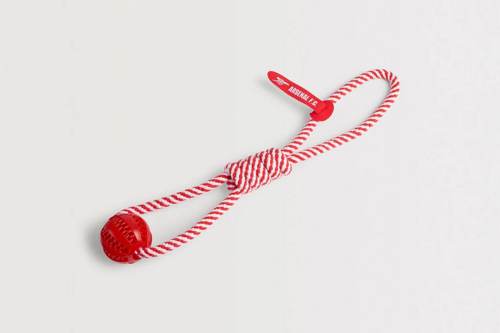 Arsenal Dog Toy