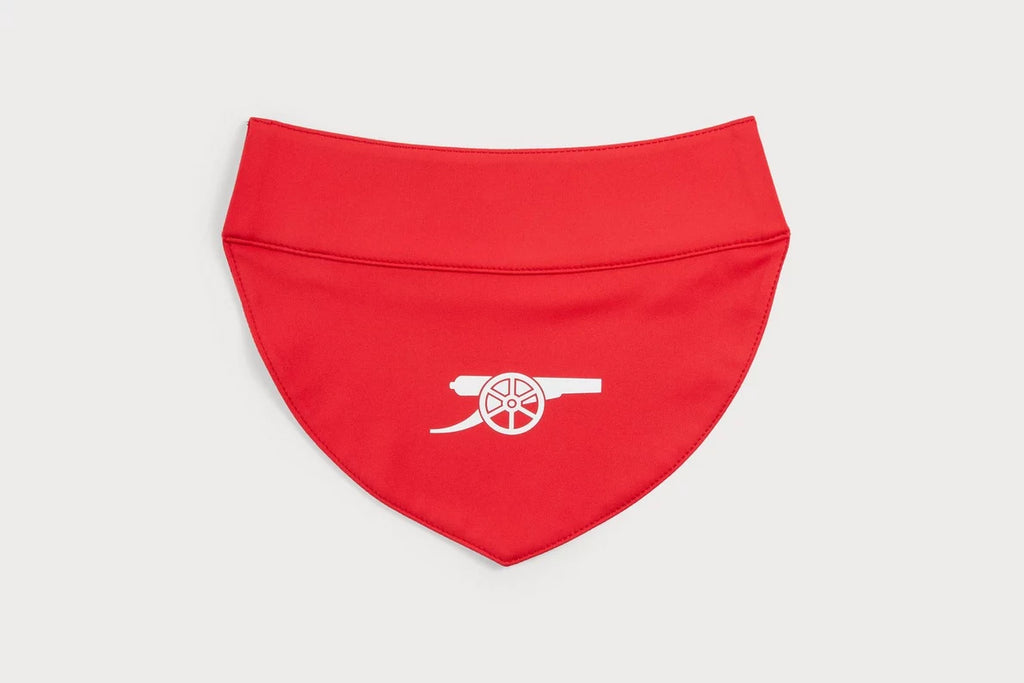 Arsenal Pet Bib
