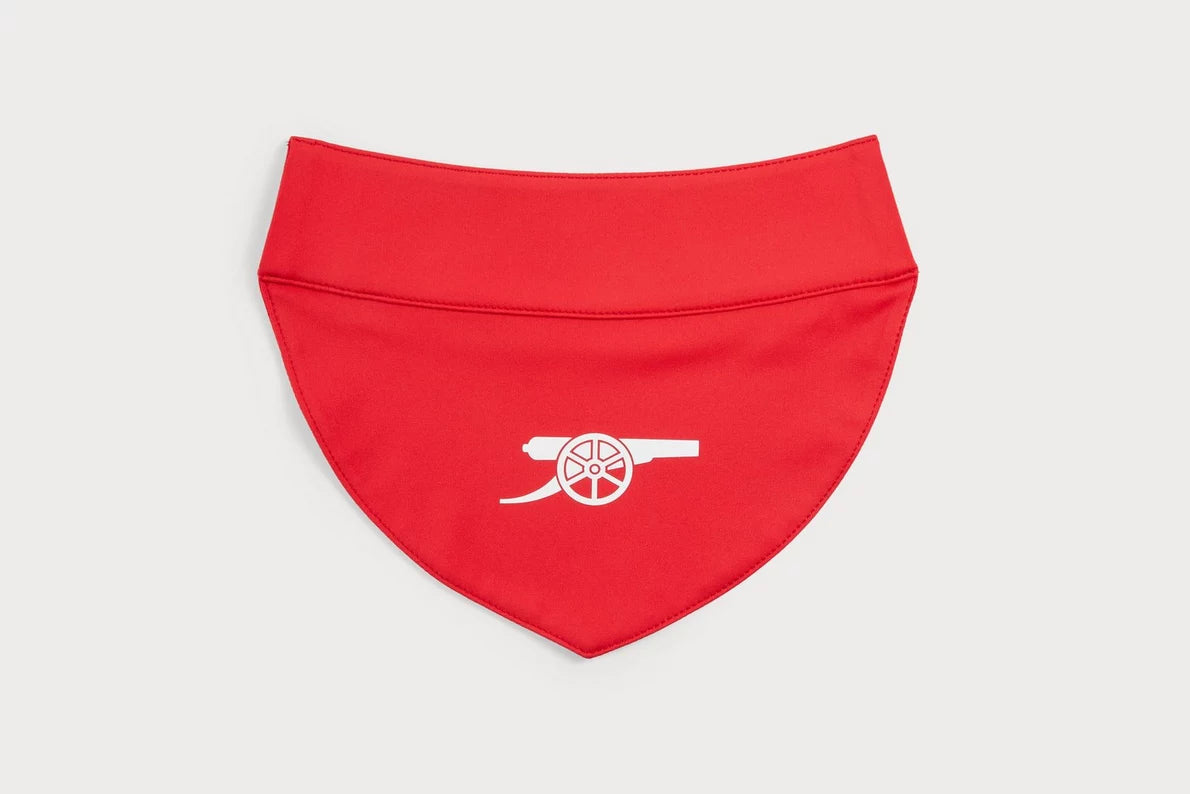 Arsenal Pet Bib