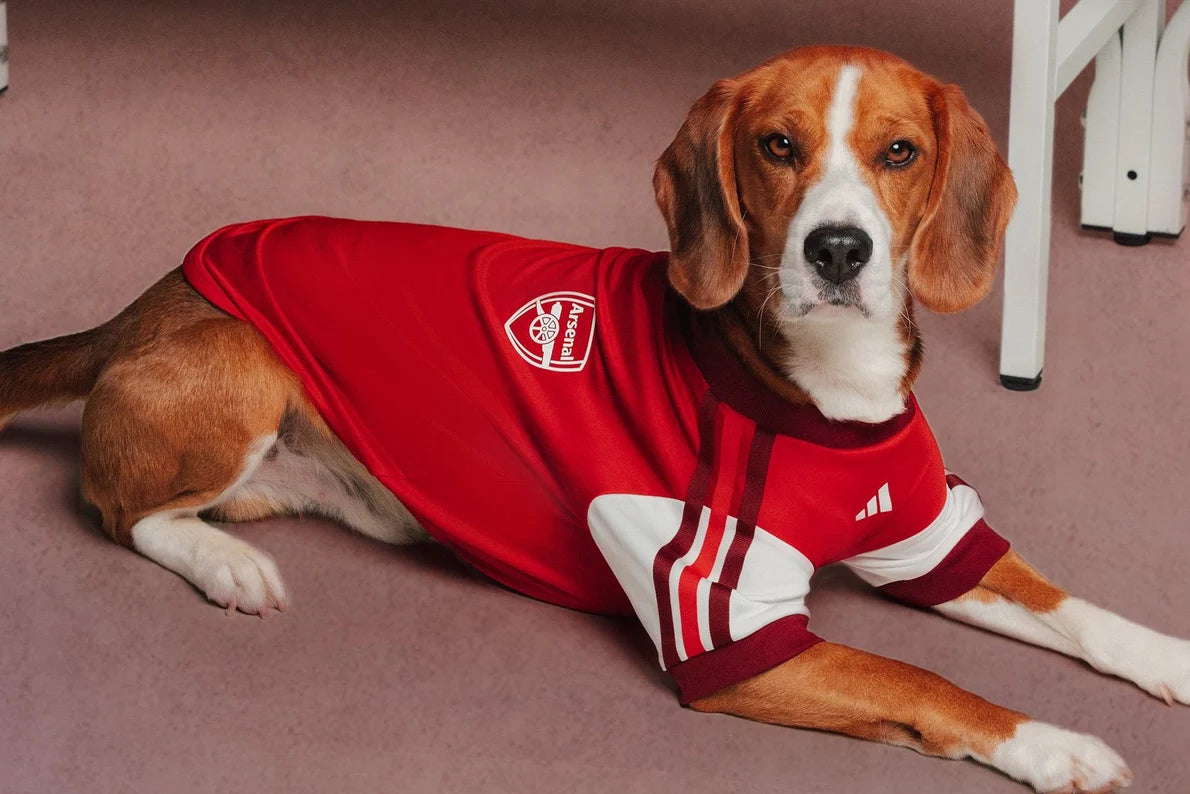 Arsenal adidas 26/27 Pet Shirt