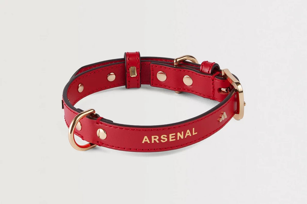 Arsenal adidas 26/27 Pet Collar