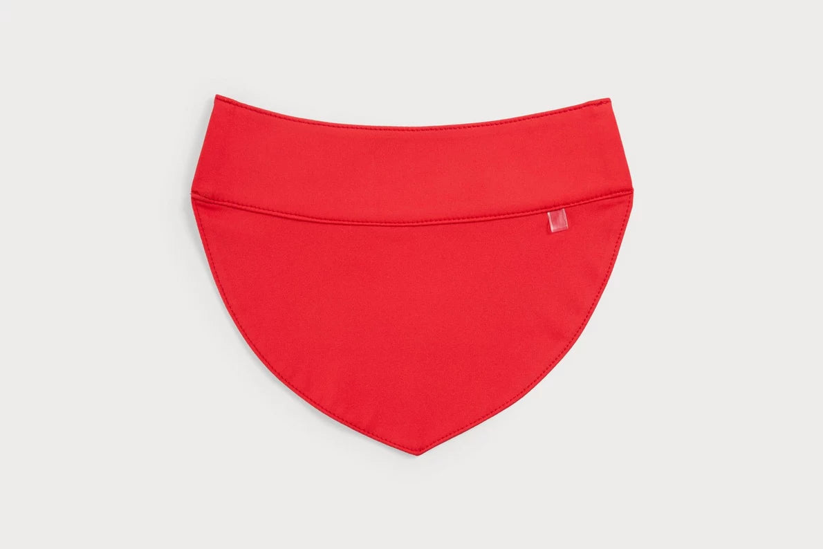 Arsenal Pet Bib