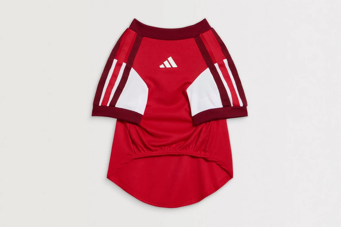 Arsenal adidas 26/27 Pet Shirt