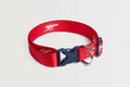 Arsenal Comfort Pet Collar