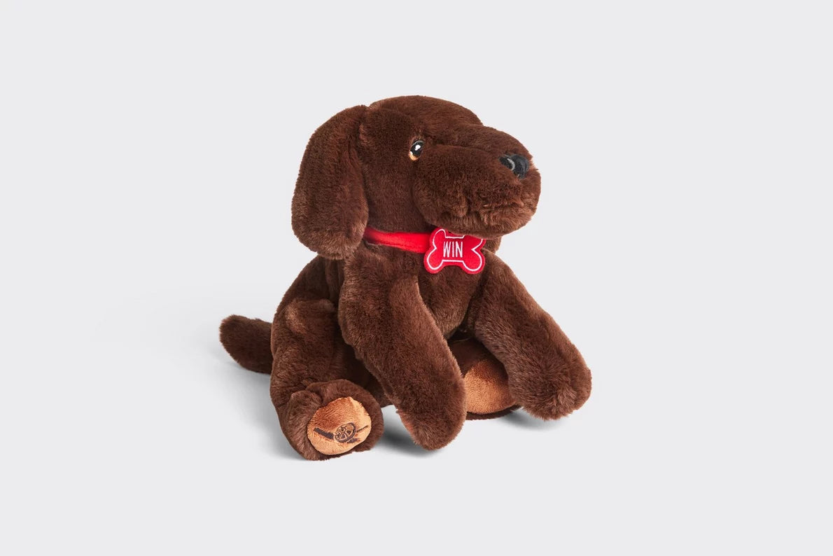 Arsenal Win the Dog Plush Toy