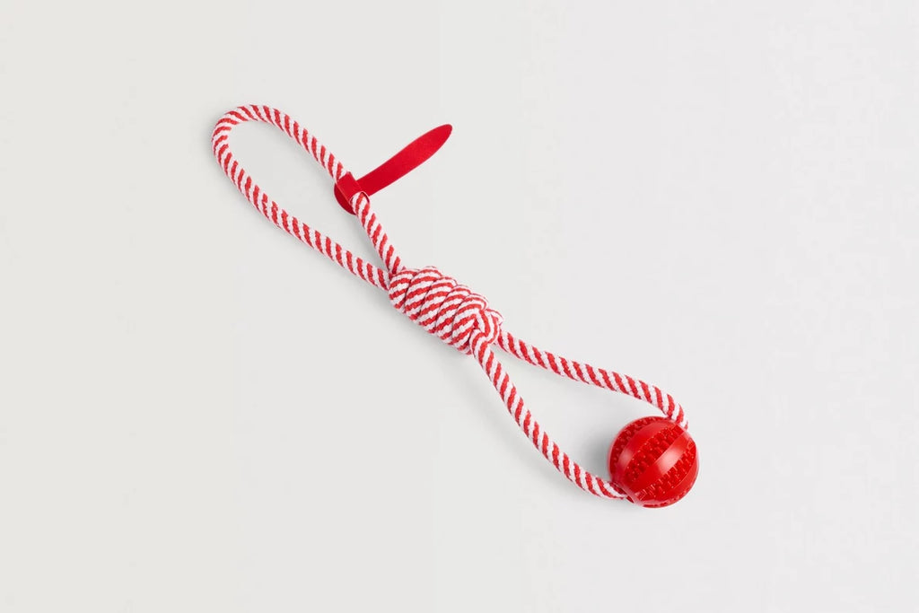 Arsenal Dog Toy