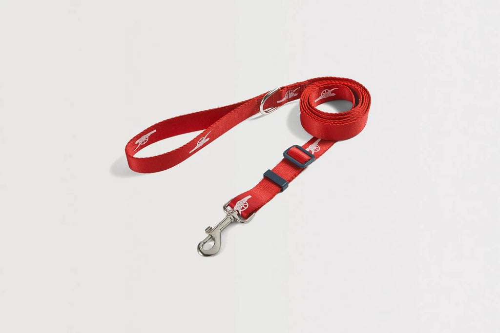 Arsenal Lightweight Pet Leash