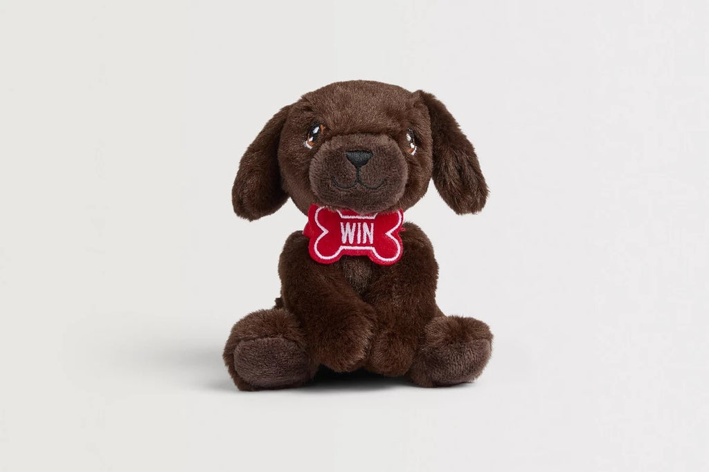 Arsenal Win Bag Buddy