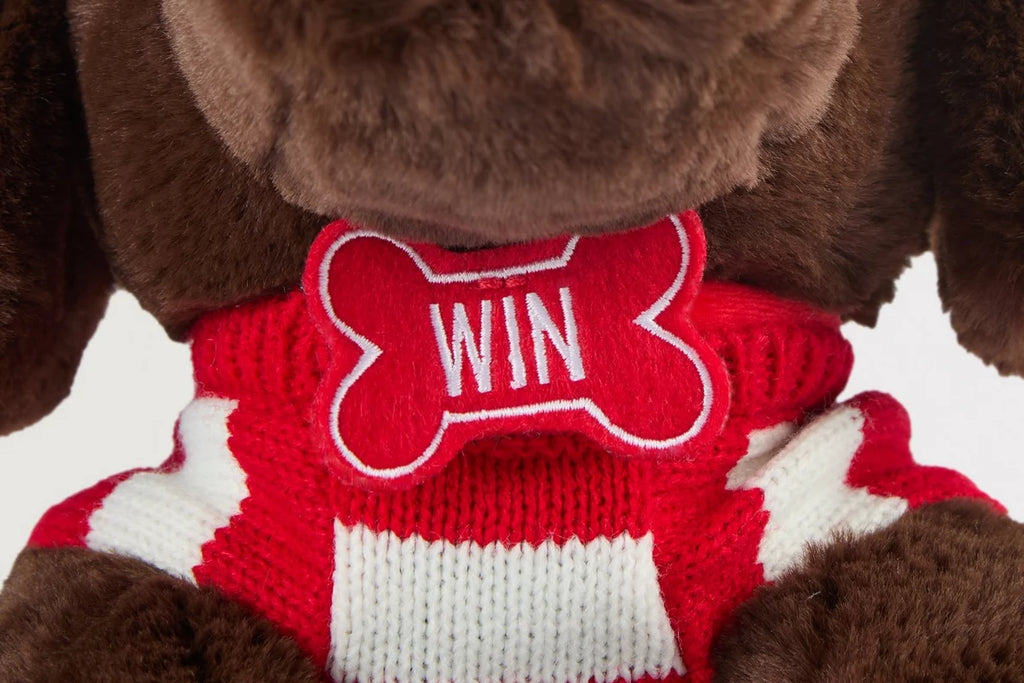 Arsenal Festive Win