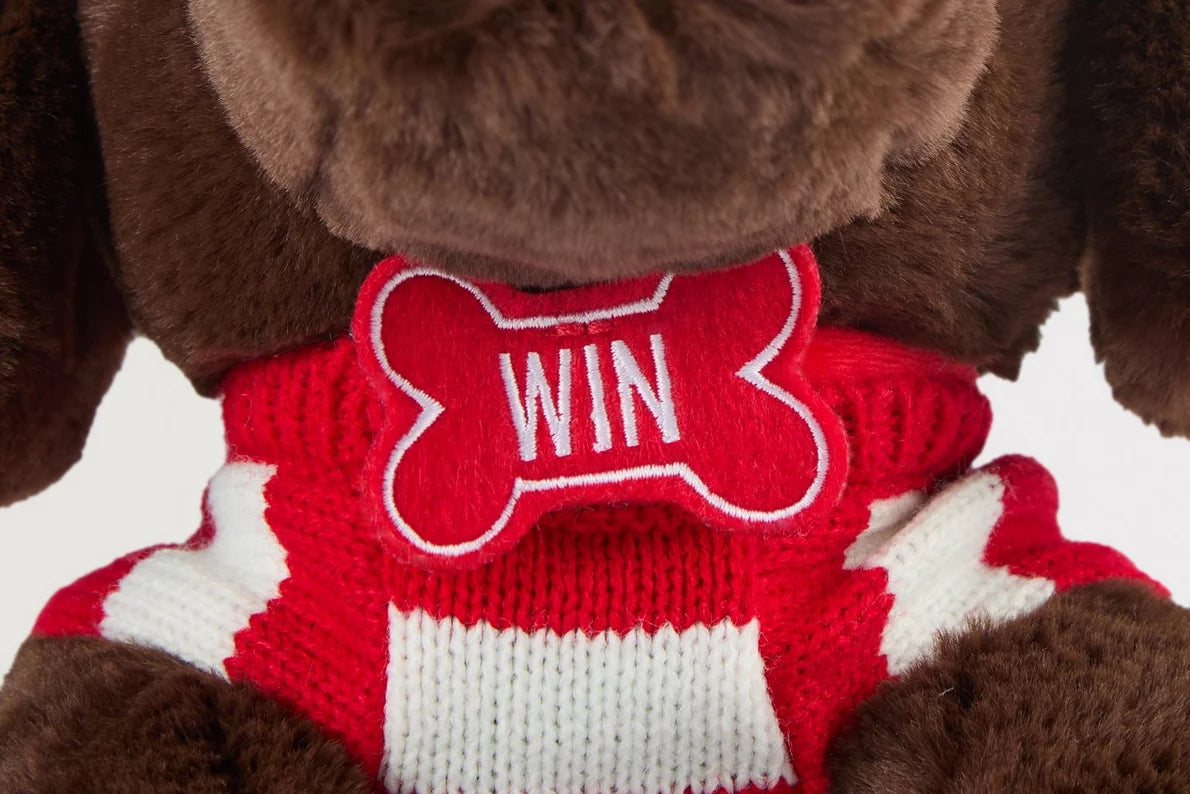 Arsenal Festive Win