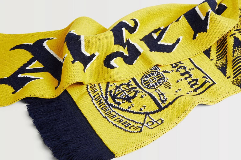 Arsenal Bruised Banana Scarf