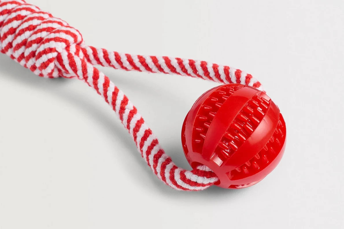 Arsenal Dog Toy