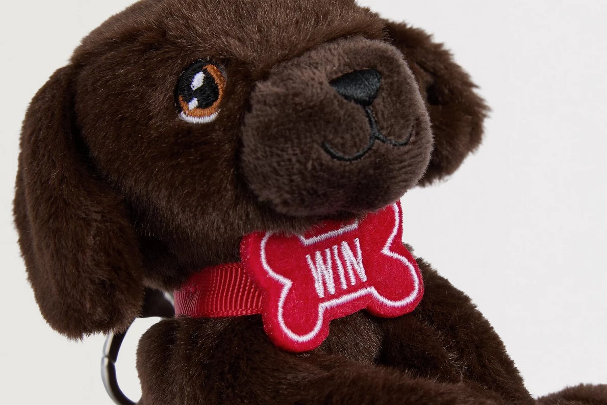 Arsenal Win Bag Buddy
